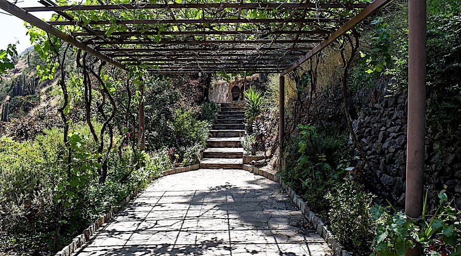 Terraza Parrón